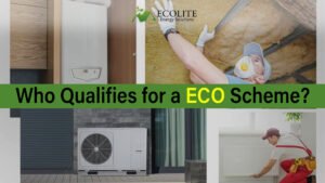 Who Qualifies for ECO Scheme